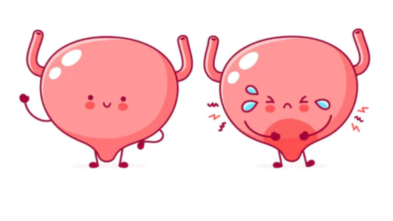 nourologic bladder